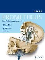 Prometheus LernPaket der Anatomie: Schädel