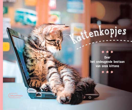 Kattenkopjes - cover