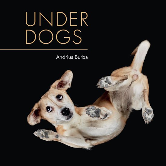 Under Dogs - cover