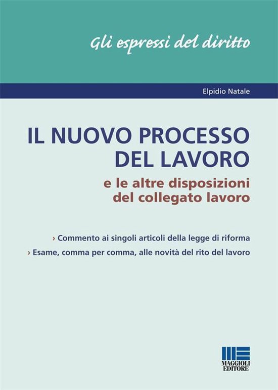 Il nuovo processo del lavoro - cover