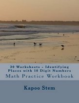30 Worksheets - Identifying Places with 10 Digit Numbers