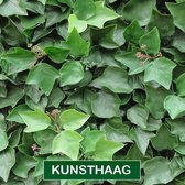 kunsthaag Hedera Helix met bloem -1 m2  oppervlakte en eenvoudig te koppelen