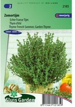 Sluis Garden - Zomertijm (Thymus vulgaris)