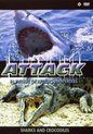 Attack - Sharks And Crocodiles
