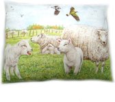 Sierkussen schaap lam schapen lammetjes thema dieren cadeaus woon accessoires