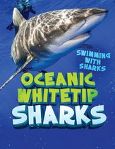 Swimming with Sharks - Oceanic Whitetip sharks