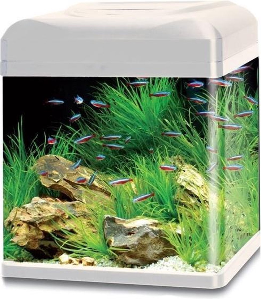 sensor reptielen Gematigd HS aqua aquarium lago 40 led wit | bol.com
