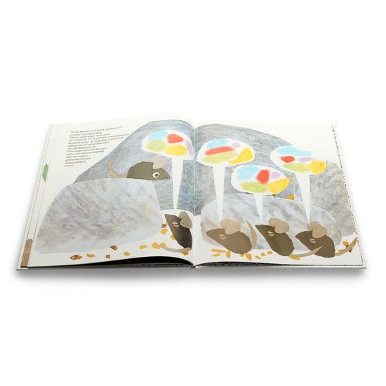 Open boek met muizen die tussen stenen en gekleurde bollen zitten. Tekst in het Nederlands.