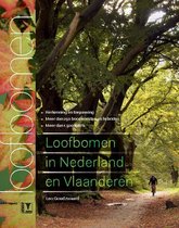 Loofbomen in Nederland en Vlaanderen