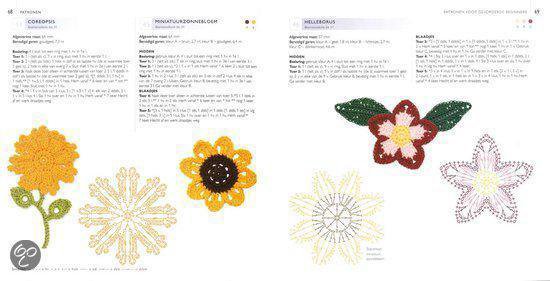 Caitlin Sainio - 100 bloemen om te haken