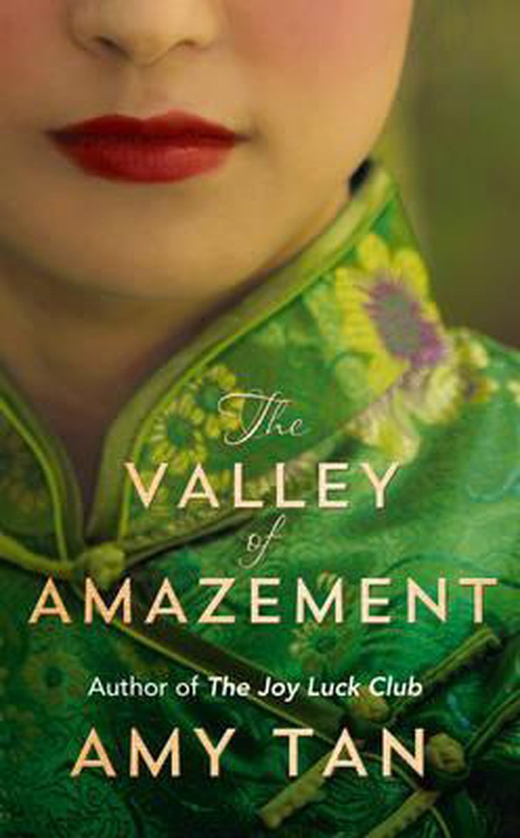 Omslag van The Valley of Amazement