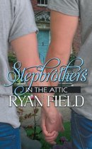 Stepbrothers in the Attic