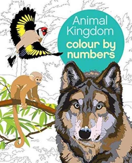 Animal Kingdom Colour by Numbers - cover