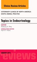 Endocrinology Issue Of Veterinary Clinic