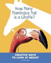 How Many Flamingos Tall Is a Giraffe?