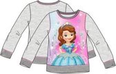Disney - Prinses Sofia - Sweater - Grijs