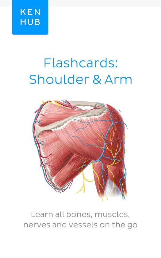 Flashcard ebooks from Kenhub - Flashcards: Shoulder & Arm - cover