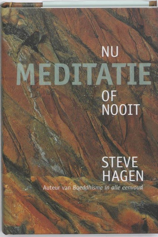 Boekomslag met de titel "NU MEDITATIE OF NOOIT" en "STEVE HAGEN". De achtergrond is een foto van rotsen.