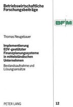 Implementierung Edv-Gestuetzter Finanzplanungssysteme in Mittelstaendischen Unternehmen