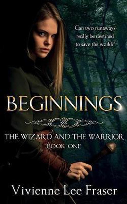 Wizard and the Warrior- Beginnings - cover