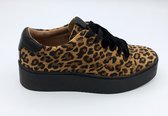 DWRS Barbados- Sneakers Dames- Maat 39