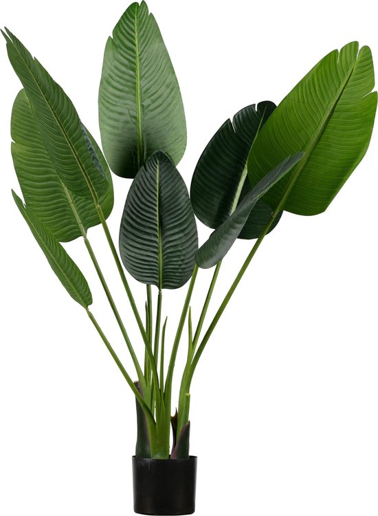 WOOOD Strelitzia Kunstplant - Groen - 61x108x50