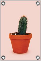 Tuinposter –Cactus op Roze Achtergrond – 60x90cm Foto op Tuinposter (wanddecoratie voor buiten en binnen)