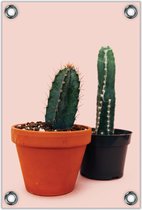 Tuinposter –Twee Cactussen op Roze achtergrond – 60x90cm Foto op Tuinposter (wanddecoratie voor buiten en binnen)