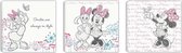 Disney - Canvas Set van 3 - Minnie & Katrien - 3x 30x30 cm