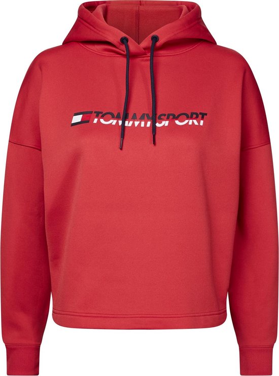 tommy hilfiger hoodie wit