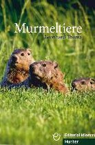 Murmeltiere - Buch