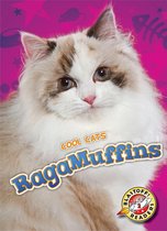 Cool Cats - RagaMuffins