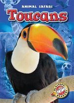 Animal Safari - Toucans