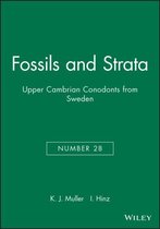 Fossils and Strata