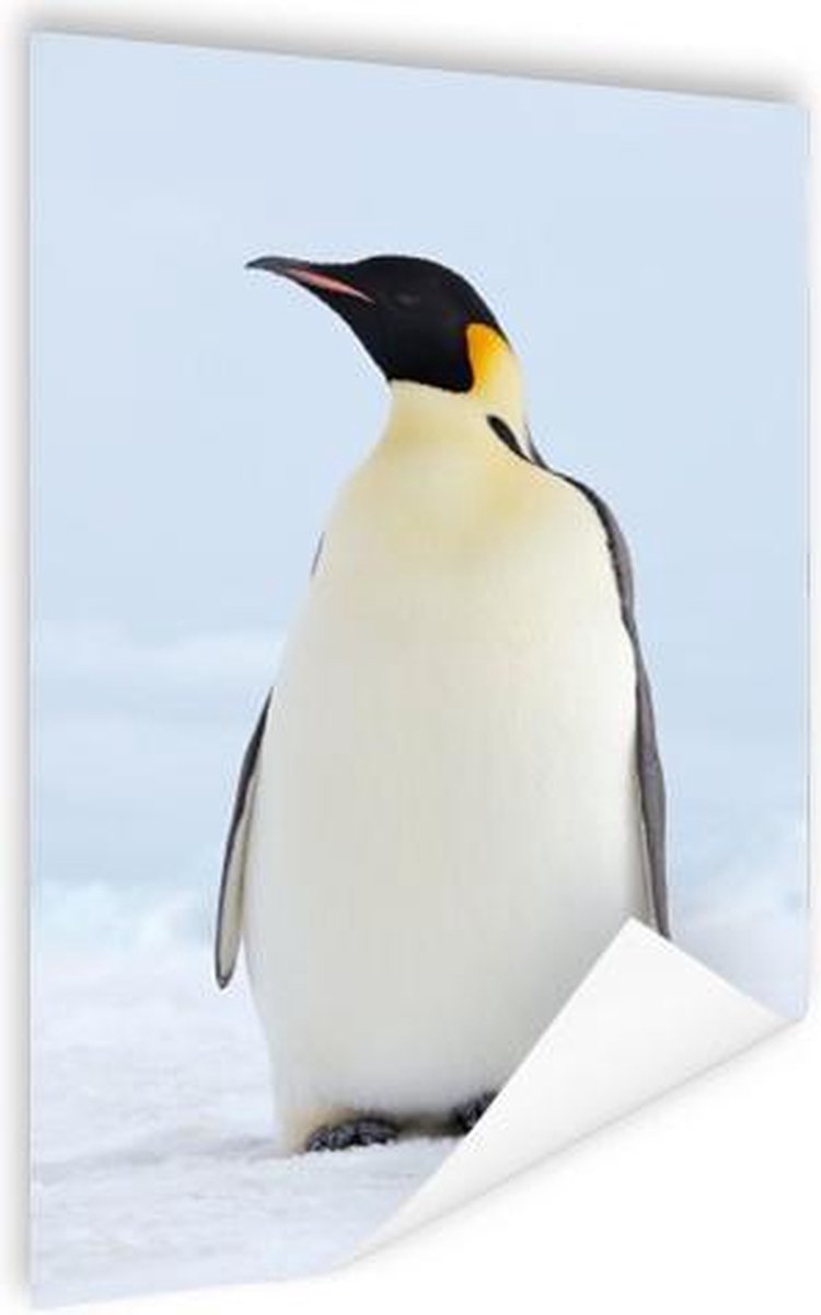 Poster Keizerpinguïn - 80x120 cm