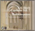 Ton Koopman & The Amsterdam Baroque - Complete Bach Cantatas Volume 7