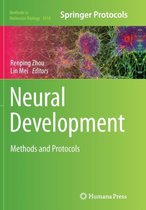 Neural Development