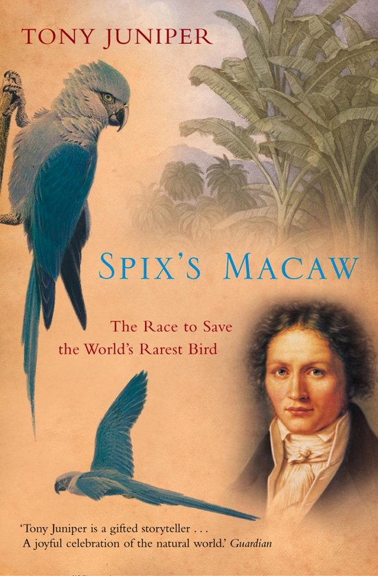 Spix’s Macaw - cover