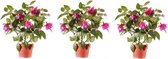3x Roze fuchsiaplant kunstplant 30 cm voor binnen - kunstplanten/nepplanten/binnenplanten