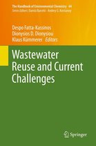 The Handbook of Environmental Chemistry 44 - Wastewater Reuse and Current Challenges