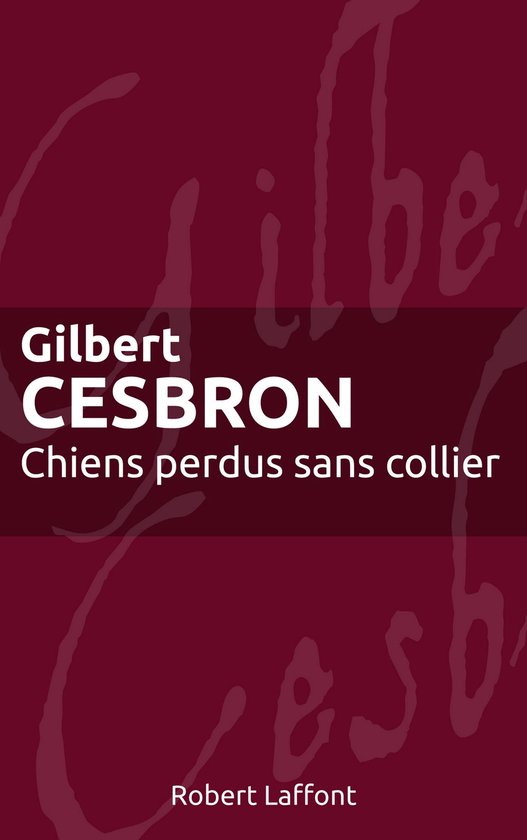 Roman - Chiens perdus sans collier - cover
