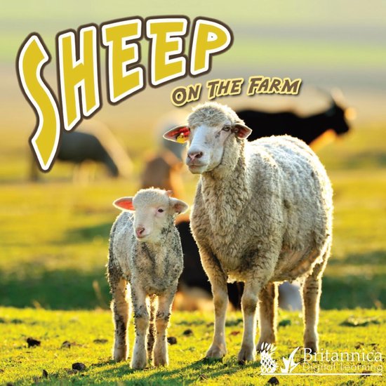 On the Farm - Sheep on the Farm - cover
