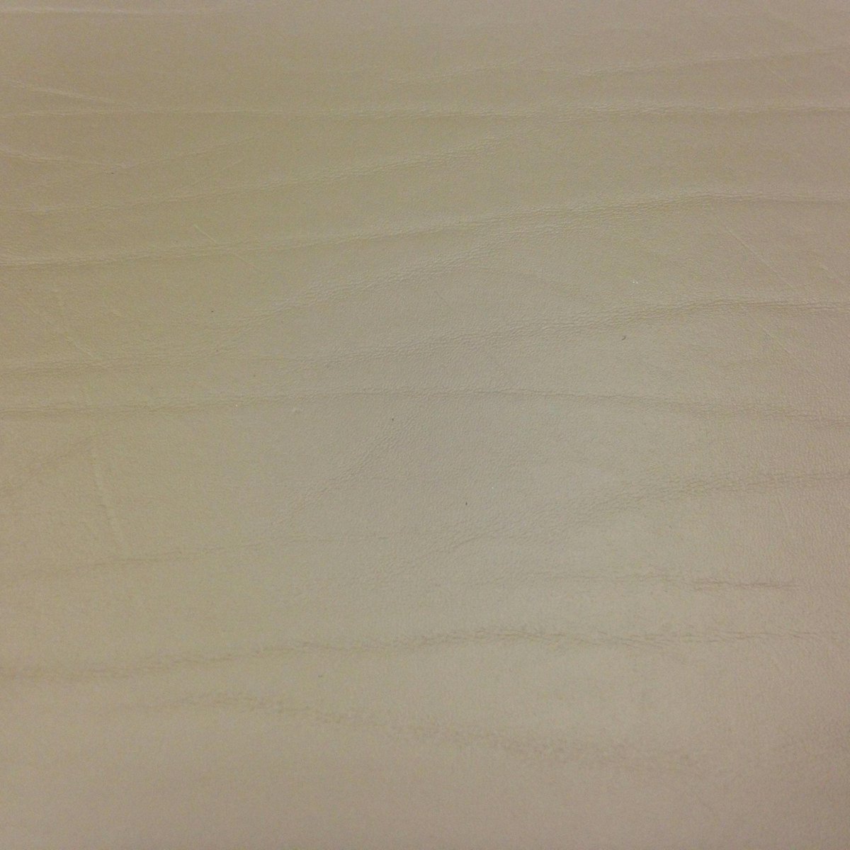 Daff Leatherixx Onderzetter Dumbo - Leer - 10 x 10 cm - Set van 6 stuks - Taupe