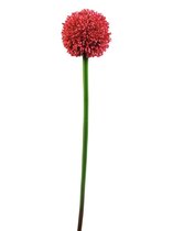 Europalms kunstbloemen Allium, rood, 55cm. nepbloemen