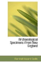 Archaeological Specimens from New England