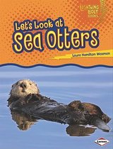 Let's Look at Sea Otters