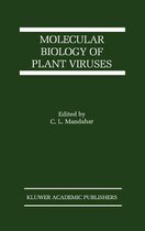Molecular Biology of Plant Viruses