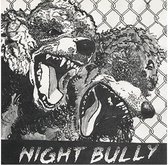 Night Bully