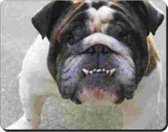 Bulldog toont tanden  Muismat
