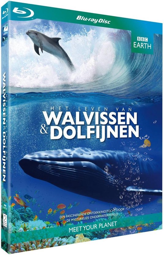 Cover van de film 'BBC Earth - Het Leven Van Walvissen En Dolfijnen'